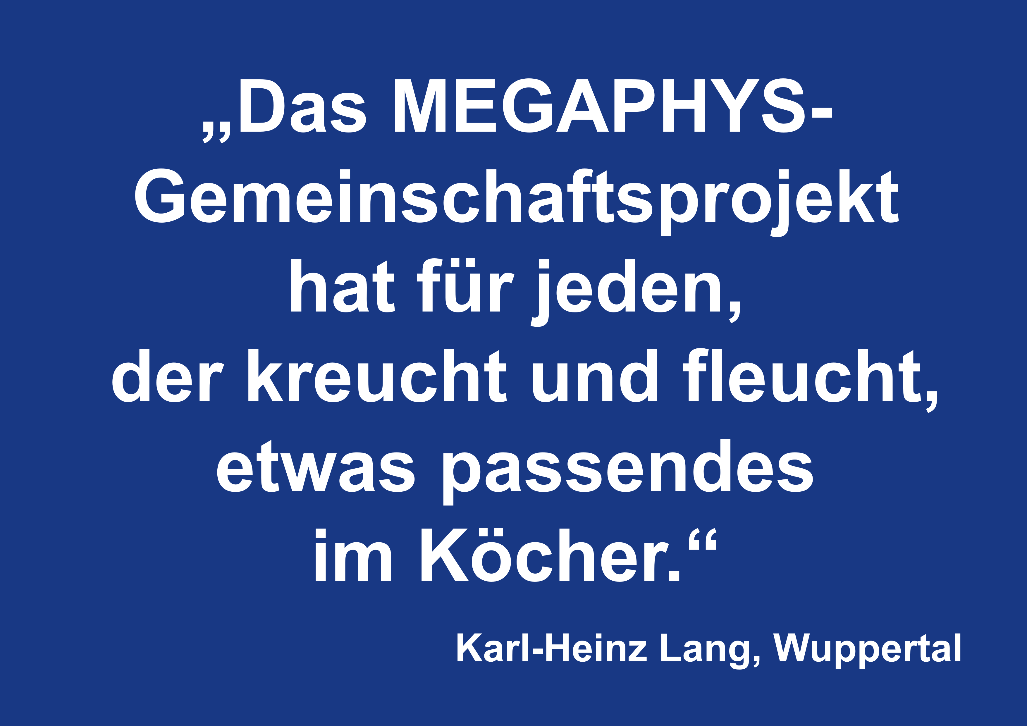 MEGAPHYS-Leitmerkmalmethoden