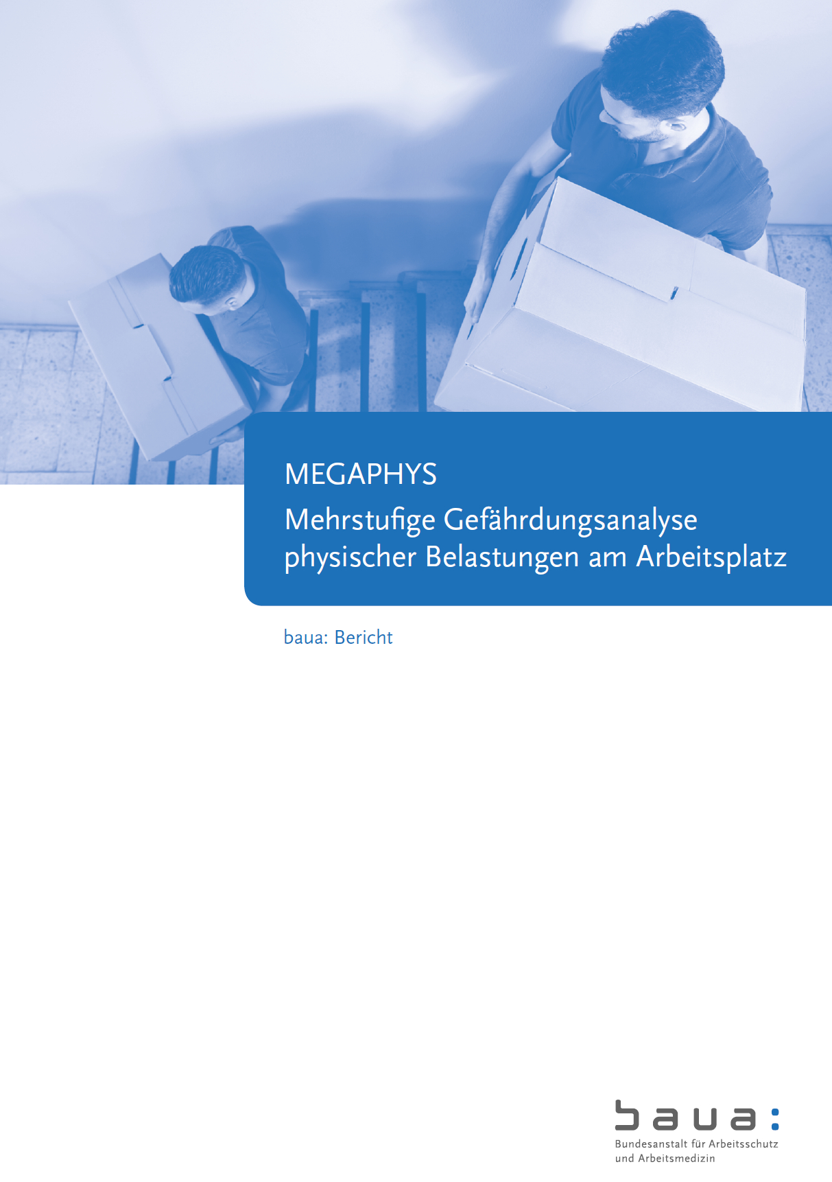 MEGAPHYS – Mehrstufige Gefährdungsanalyse physischer Belastungen am Arbeitsplatz (Band 1)